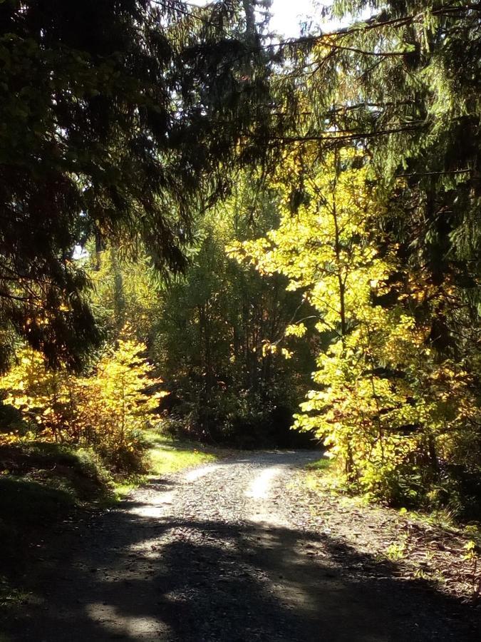 Gasthof-Hotel Dilger Rattenberg ภายนอก รูปภาพ