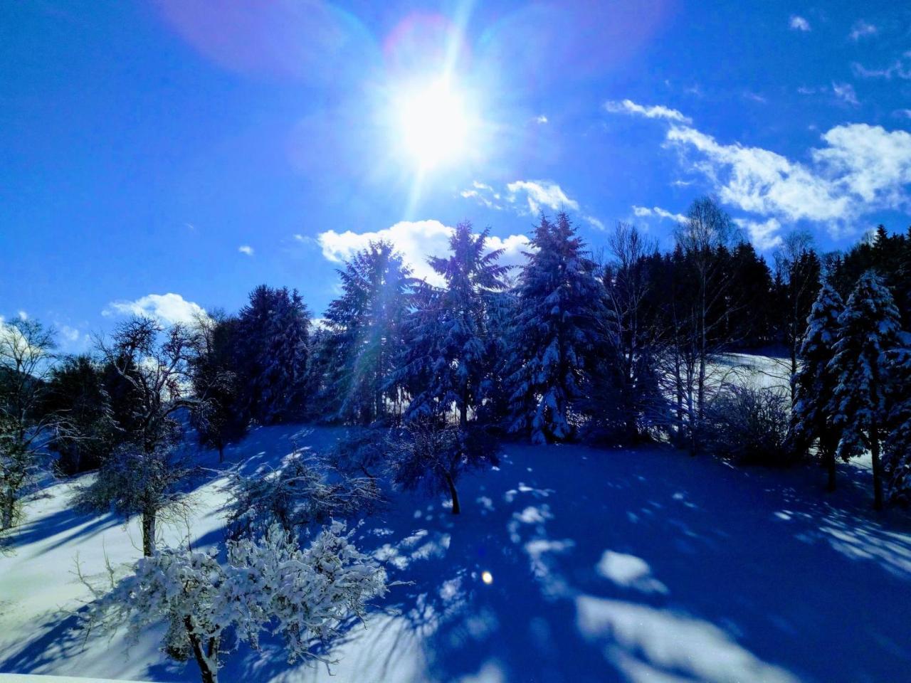 Gasthof-Hotel Dilger Rattenberg ภายนอก รูปภาพ